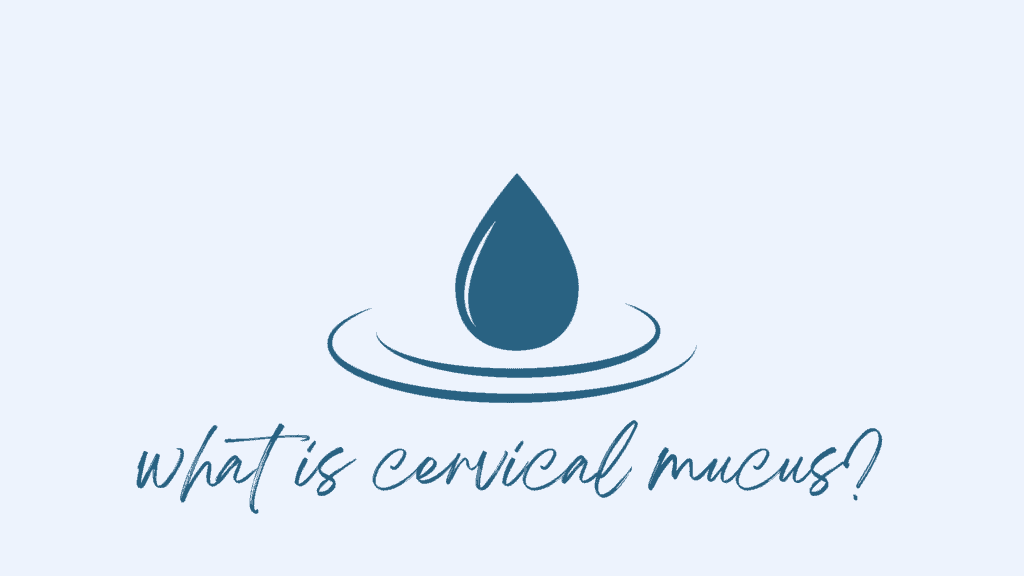 how to increase cervical mucus 