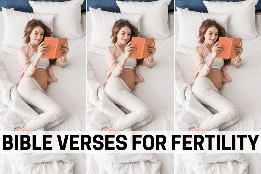 bible verses for fertility