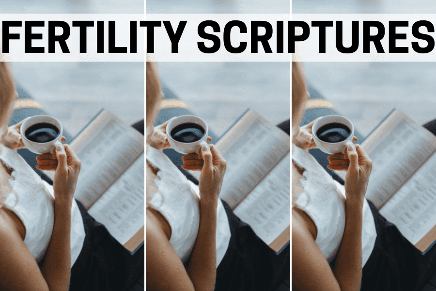 fertility scriptures