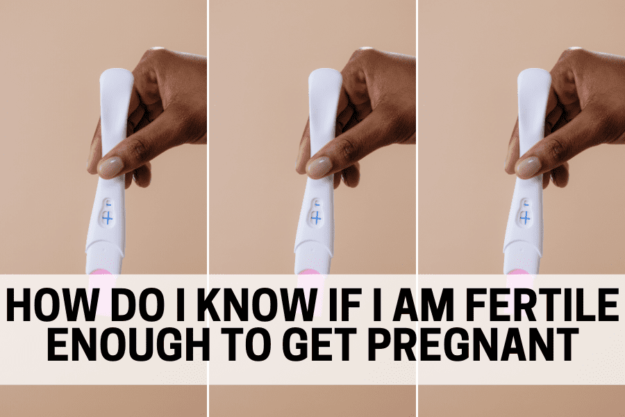 How do I know if I am fertile enough to get pregnant