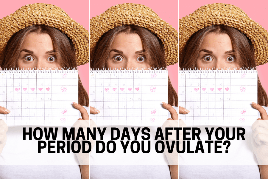 How Many Days After Your Period Do You Ovulate