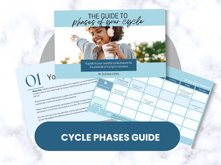 ovulation cycle phase