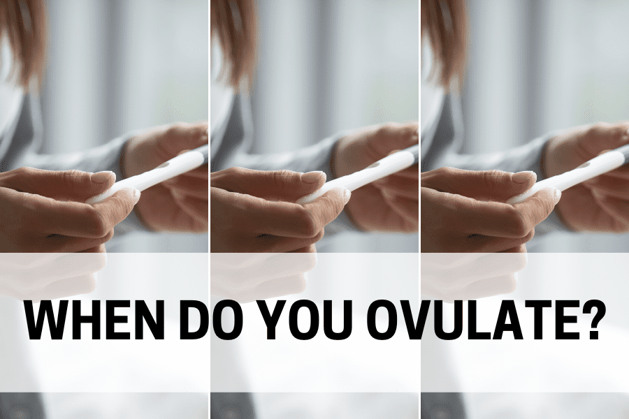 when do you ovulate